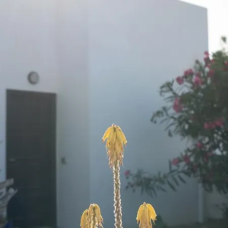 Drago Homes * Corralejo