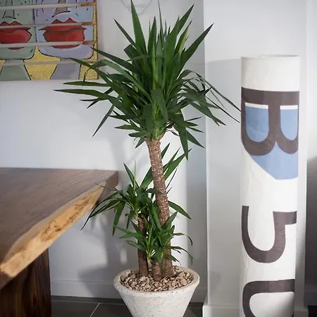 Drago Homes Apartment *
